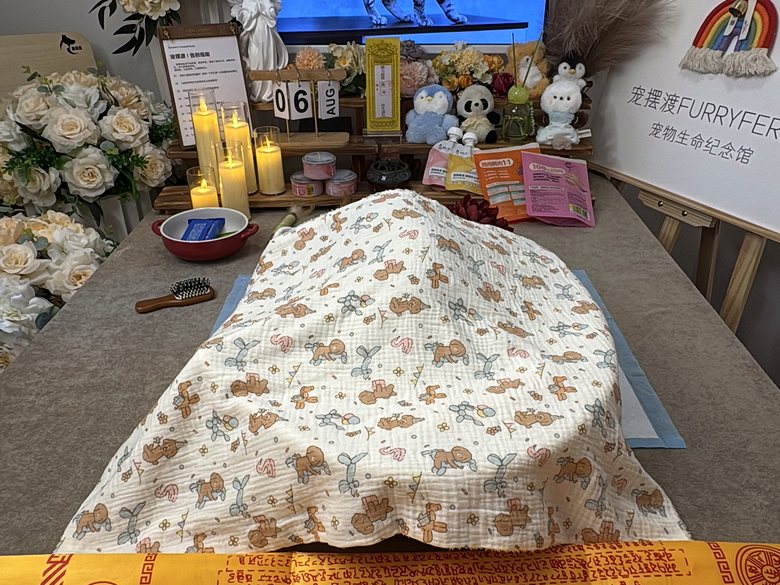 宠物骨灰罐与纪念品