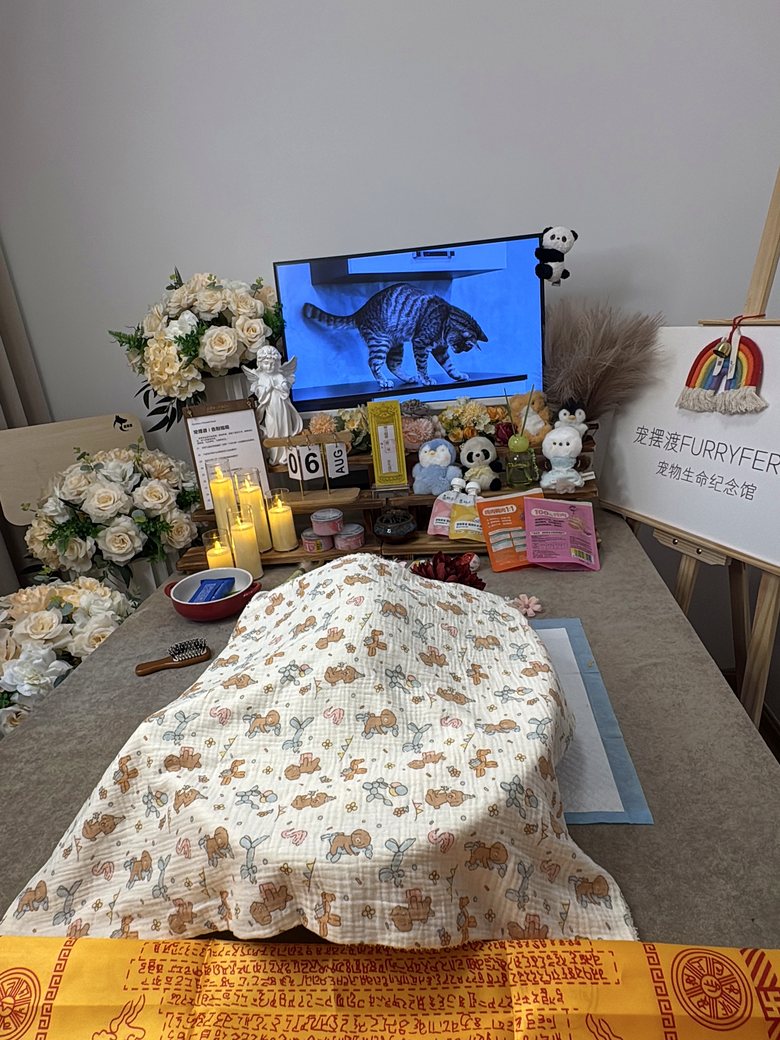 西安宠物殡葬门店告别厅环境